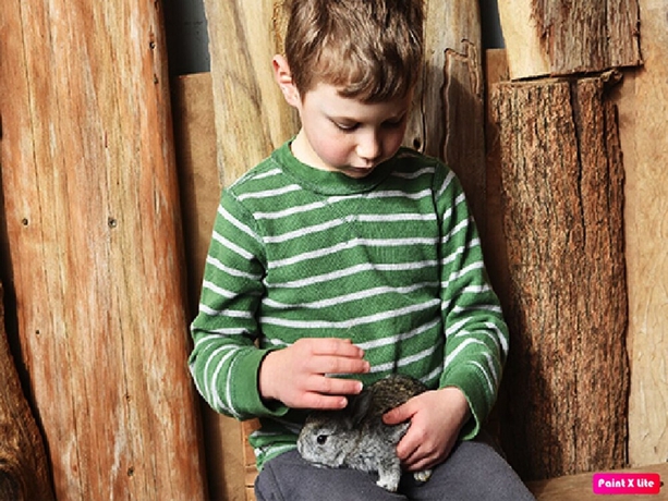 Imagen general del Yaar Odem Resort. Foto 3