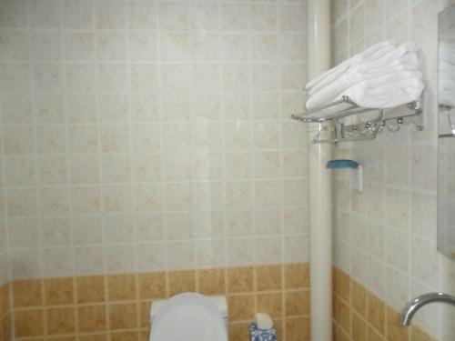 Imagen general del Yabuli Youth Farm. Foto 8