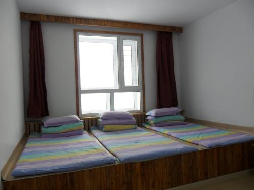 Imagen general del Yabuli Youth Farm. Foto 10