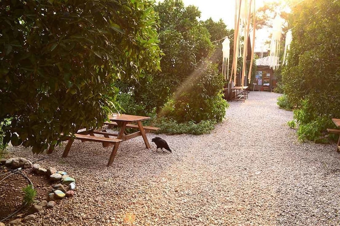 Imagen de los exteriores del Yakamoz Pansiyon. Foto 12