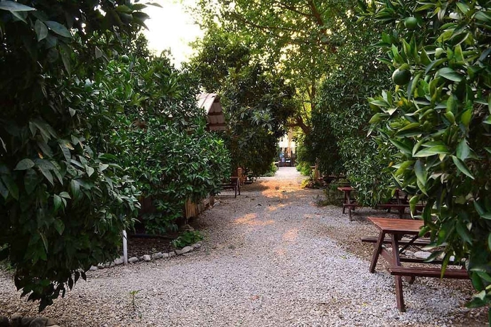 Imagen de los exteriores del Yakamoz Pansiyon, Kumluca. Foto 15