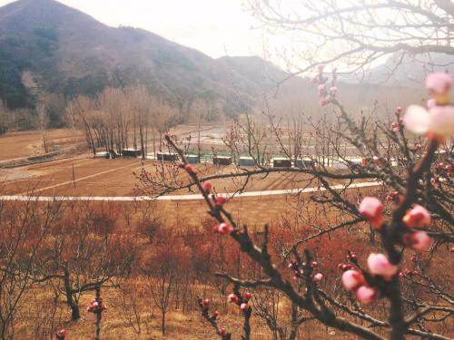 Imagen general del Yan Chun Xiang Farm Stay. Foto 3