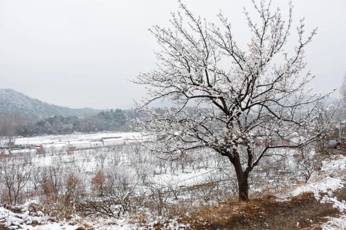 Imagen general del Yan Chun Xiang Farm Stay. Foto 5