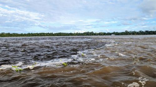 Imagen general del Yanayacu Lodge Explore. Foto 16