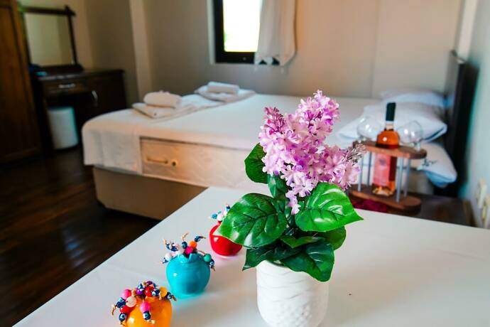 Imagen general del Yasu Tenedos. Foto 10