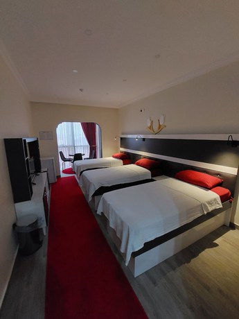 Imagen de la habitación del Yayla Palas Hotel. Foto 11