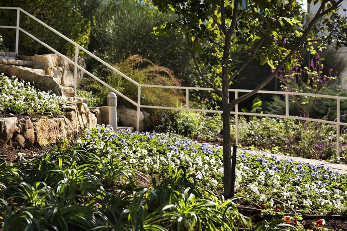 Imagen de los exteriores del Ye'arim Hotel. Foto 11