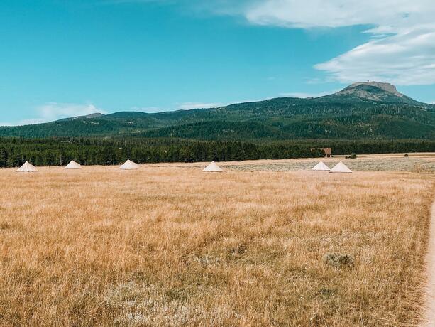 Imagen general del Yellowstone Glamping. Foto 10