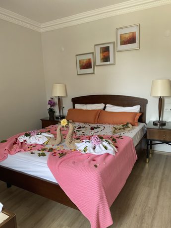 Imagen de la habitación del Yeni Astral Apart Hotel. Foto 11