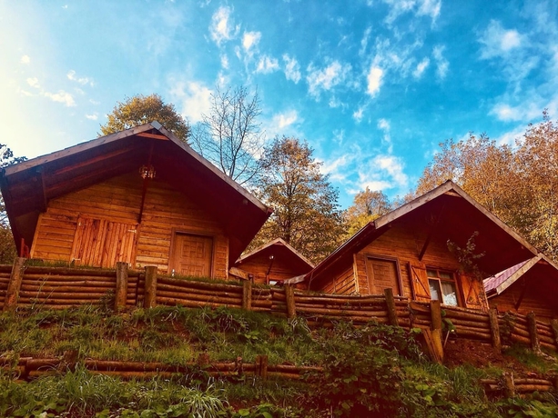 Imagen de la habitación del Yesil Dus Vadisi Bungalow Restoran. Foto 4
