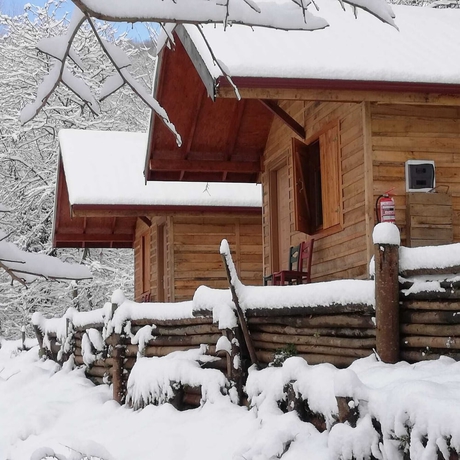 Imagen de la habitación del Yesil Dus Vadisi Bungalow Restoran. Foto 5