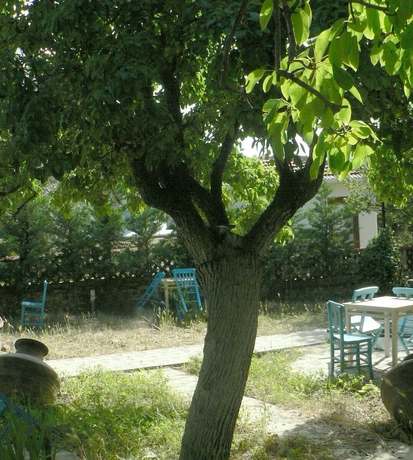 Imagen de la habitación del Yesildag Pansiyon Gokceada. Foto 11