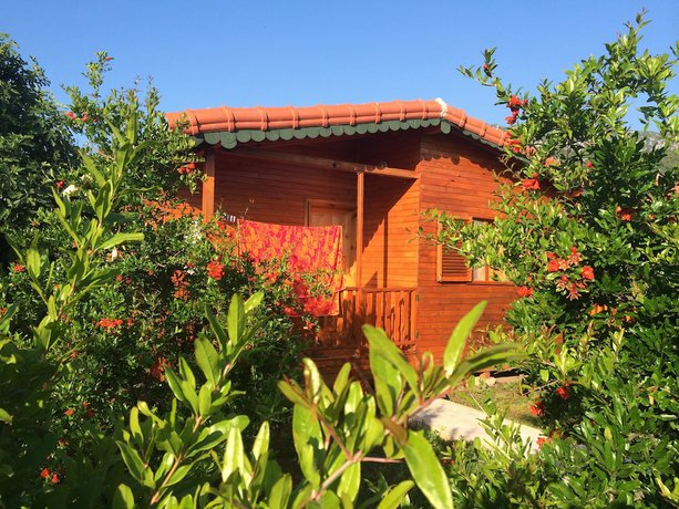 Imagen de la habitación del Yildiz Pension Bungalows. Foto 11