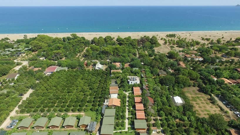 Imagen de los exteriores del Yildiz Pension Bungalows. Foto 20