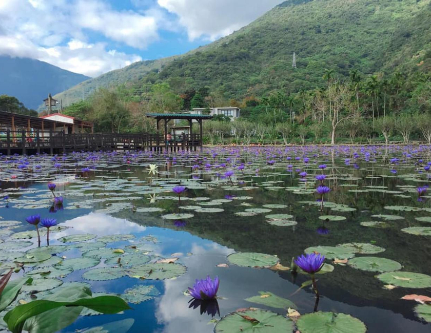 Imagen general del Ying Tian Ye Homestay. Foto 17