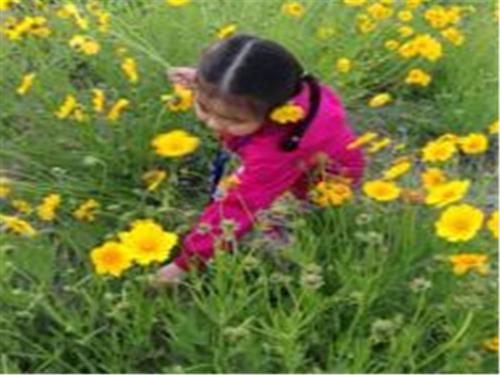 Imagen general del Yintan Resort. Foto 9