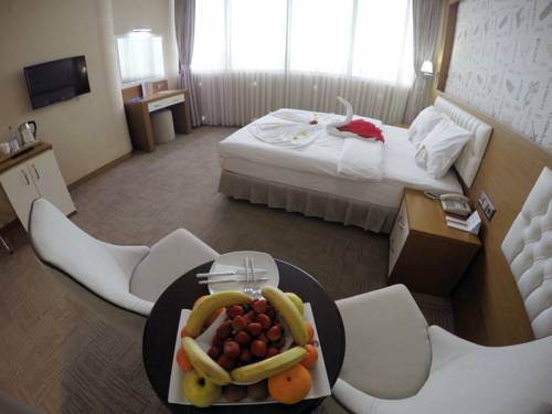 Imagen de la habitación del Yol Is Holiday Adana. Foto 5
