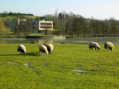 Imagen general del Youth Hostel Echternach. Foto 1