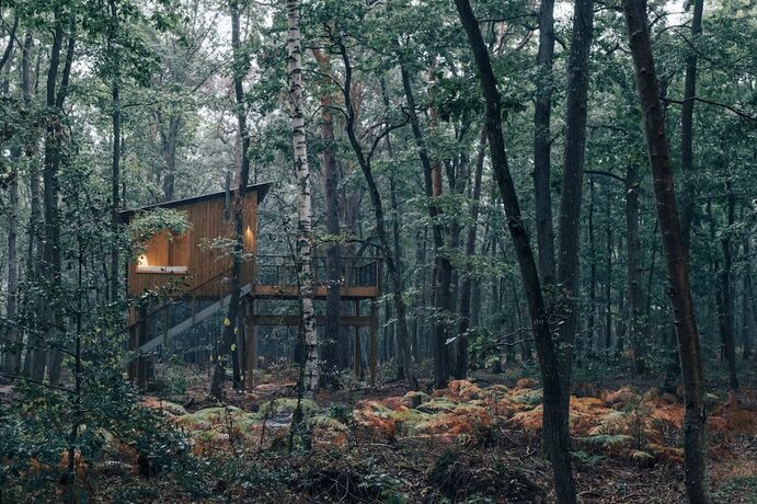 Imagen de la habitación del Youza Ecolodge. Foto 13