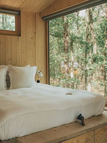 Imagen general del Youza Ecolodge. Foto 7