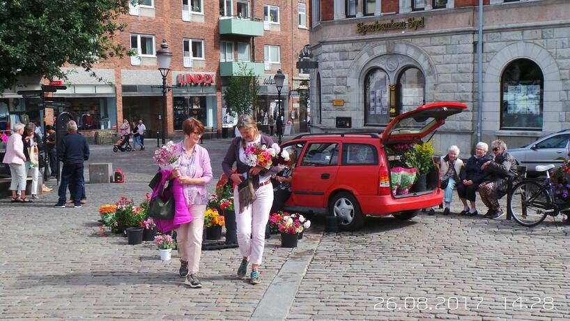 Imagen general del Ystad Holiday Houses. Foto 3