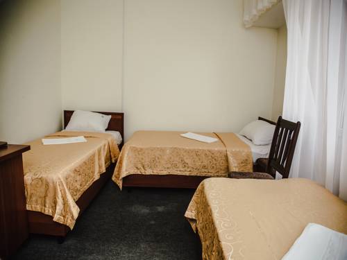 Imagen de la habitación del Yuzhnaya Hotel. Foto 1