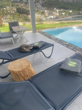 Imagen general del Z-Villas. Foto 11
