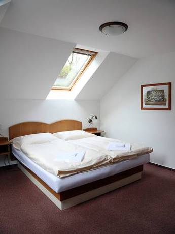 Imagen general del Zámecký Hotel U Rajských. Foto 1
