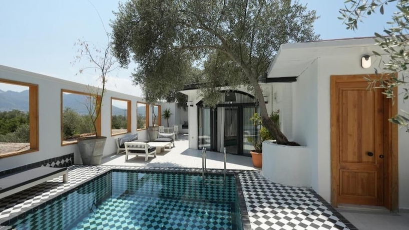 Imagen de la piscina del Zai Jardin. Foto 16