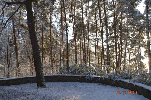 Imagen general del Zajazd Turystyczny HETMAN. Foto 7