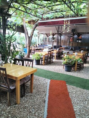 Imagen general del Zakkum Pansiyon. Foto 3