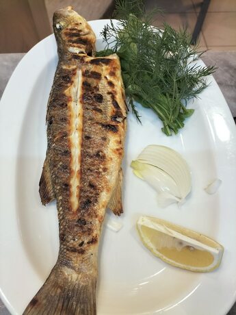 Imagen general del Zakkum Pansiyon. Foto 4