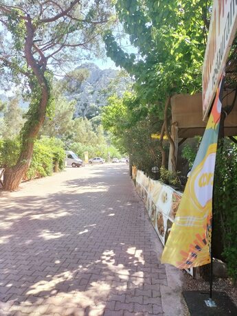 Imagen general del Zakkum Pansiyon. Foto 6