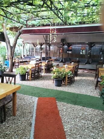 Imagen general del Zakkum Pansiyon. Foto 11