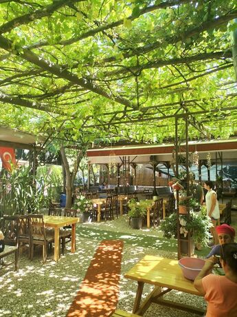 Imagen general del Zakkum Pansiyon. Foto 13