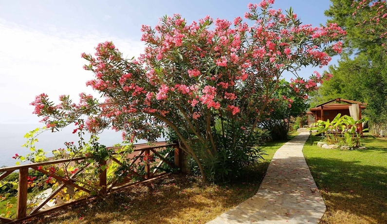 Imagen de los exteriores del Zakros Hotel Lykia - Adults Only. Foto 7