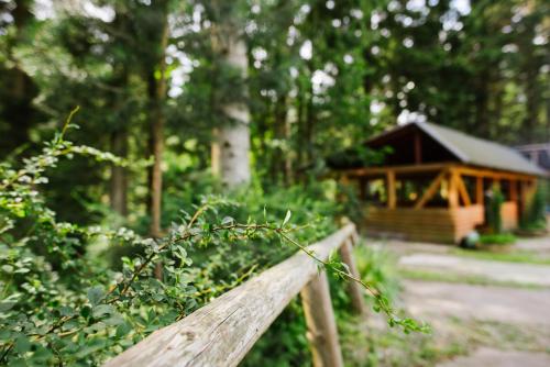 Imagen general del Zelenyy Bir. Foto 1