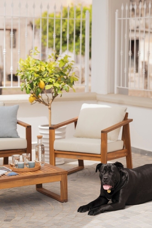 Imagen de los exteriores del Zest House. Foto 14