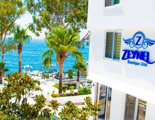 Imagen general del Zeynel Butik Otel. Foto 18