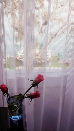 Imagen general del Zeynel Butik Otel. Foto 20