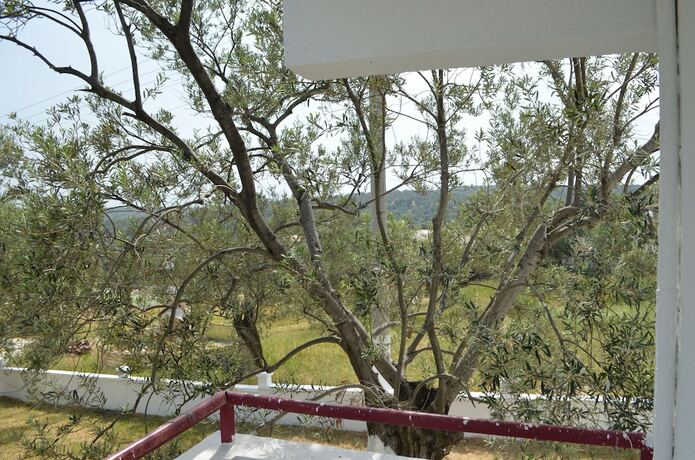 Imagen general del Zeytin Apart Otel and Aquapark. Foto 18