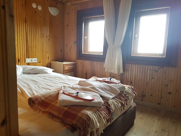 Imagen de la habitación del Zigana Gumuskayak Yaylakent Hotel. Foto 8