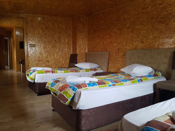 Imagen de la habitación del Zigana Gumuskayak Yaylakent Hotel. Foto 9