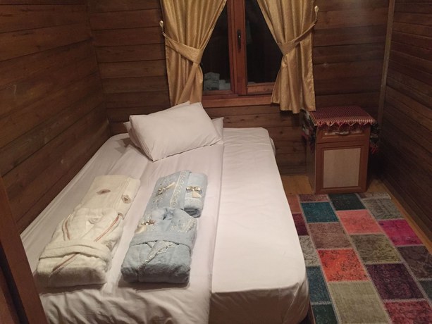 Imagen de la habitación del Zigana Gumuskayak Yaylakent Hotel. Foto 10