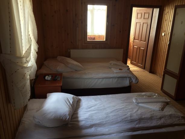 Imagen de la habitación del Zigana Gumuskayak Yaylakent Hotel. Foto 11