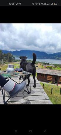 Imagen general del Zona De Camping Pachamam&aacute; de la Monta&ntilde;a Represa del Neusa. Foto 8