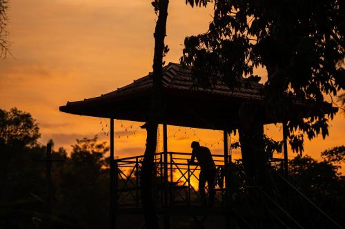 Imagen general del Zostel Coorg, Madikeri. Foto 3