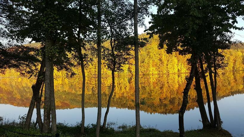 Imagen general del Złoty Potok Resort. Foto 57