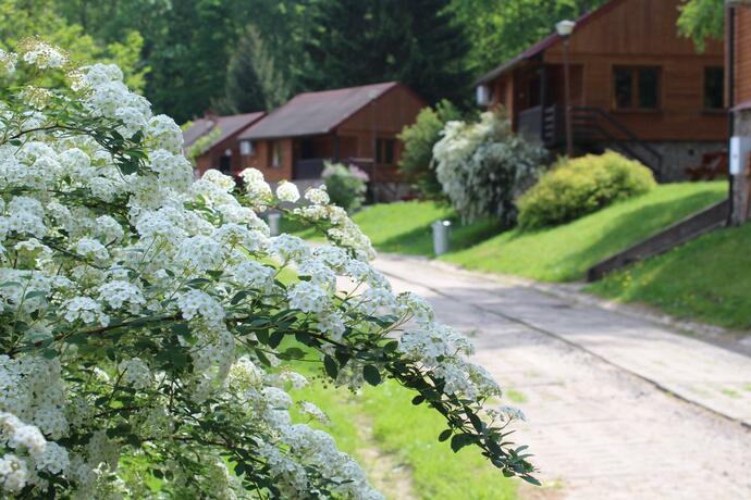 Imagen general del Złoty Potok Resort. Foto 60