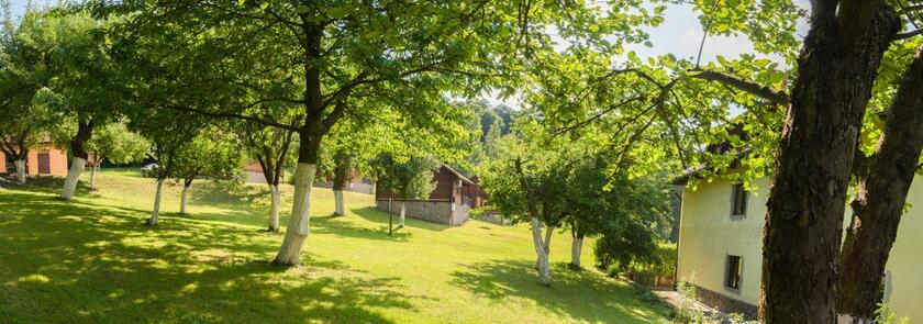 Imagen general del Złoty Potok Resort. Foto 66